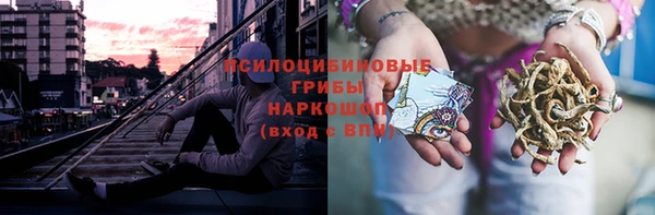 ГАЛЛЮЦИНОГЕННЫЕ ГРИБЫ Абинск