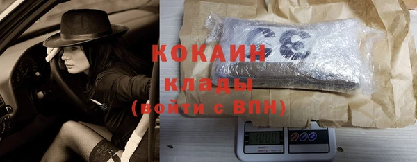 трава Болотное
