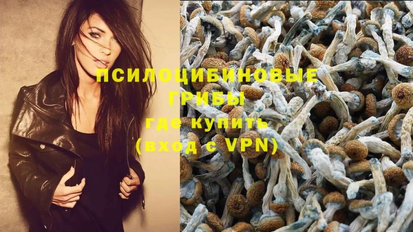 ГАЛЛЮЦИНОГЕННЫЕ ГРИБЫ Абинск