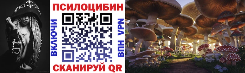 даркнет сайт  Нефтегорск  Галлюциногенные грибы Psilocybe 